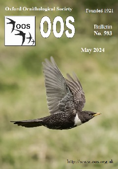 sample bulletin front cover